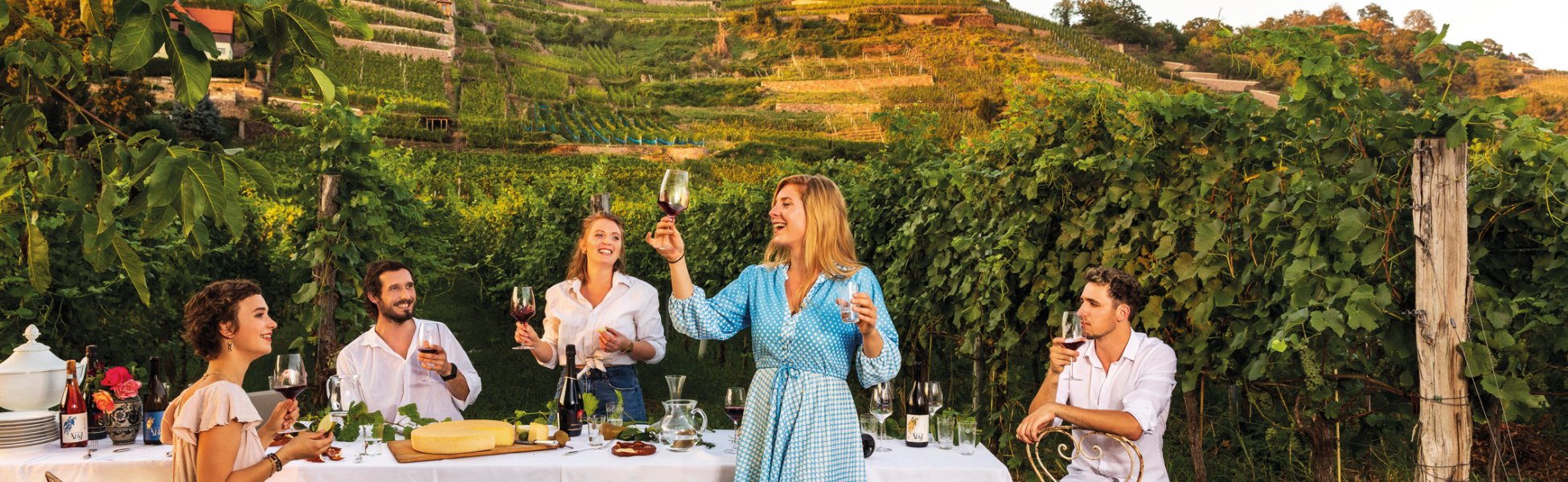 Genuss entdecken im Dresdner Elbland