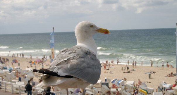 Strand bei Westerland